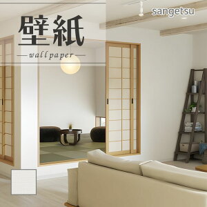 SP2599 ǎ ̂Ȃ ʎYNX TQc