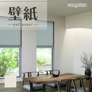 SP2600 ǎ ̂Ȃ ʎYNX TQc