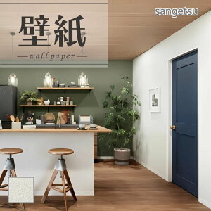 SP2504 ǎ ̂Ȃ ʎYNX TQc