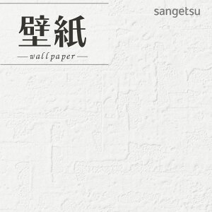 SP2576 ǎ ̂Ȃ ʎYNX TQc