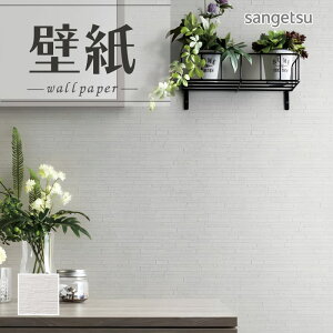 SP2578 ǎ ̂Ȃ ʎYNX TQc