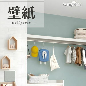 SP2583 ǎ ̂Ȃ ʎYNX TQc