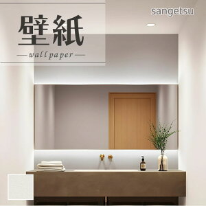 SP2503 ǎ ̂Ȃ ʎYNX TQc