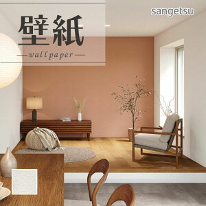 SP2550 ǎ ̂Ȃ ʎYNX TQc