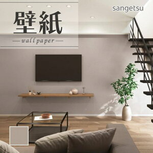 SP2545 ǎ ̂Ȃ ʎYNX TQc