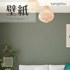 SP2588 ǎ ̂Ȃ ʎYNX TQc