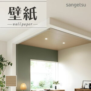 SP2567 ǎ ̂Ȃ ʎYNX TQc