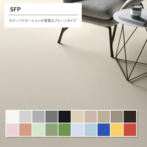 ʂȃoG[V 2.0mm 182cm mbNX RECX R ϖ ώf_ A_[CΉ JISK SFP (v[) VR[