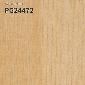PG24472 TQc ڃV[g hV[g 180cm 4.5mm Cv (:Ж10.2cm)