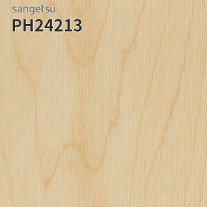 PH24213 TQc ڃV[g hV[g 180cm 2mm GX[EA CvEbh (:Ж15cm)