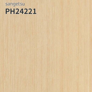 PH24221 TQc ڃV[g hV[g 180cm 2mm GX[EA WgoEbh (:Ж11.3cm)