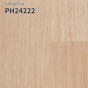 PH24222 TQc ڃV[g hV[g 180cm 2mm GX[EA WgoEbh (:Ж11.3cm)