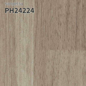 PH24224 TQc ڃV[g hV[g 180cm 2mm GX[EA WgoEbh (:Ж11.3cm)