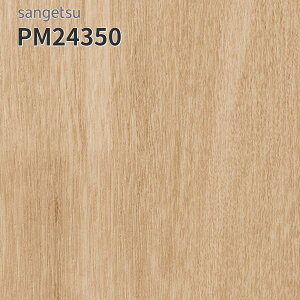 PM24350 TQc ڃV[g hV[g LXg[ 182cm 2mm w[[Ebh (:Ѓ_)