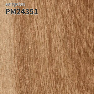 PM24351 TQc ڃV[g hV[g LXg[ 182cm 2mm w[[Ebh (:Ѓ_)
