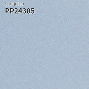 PP24305 TQc ڃV[g hV[g 182cm 2mm GX[ v[