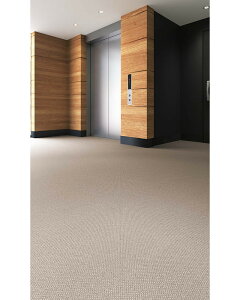 hV[g OΉ JL oRj[ BKV[g 2.5mm 182cm V[g XܗpV[g VR[ SBK9807