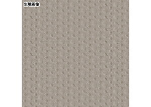 hV[g OΉ JL oRj[ BKV[g 2.5mm 182cm V[g XܗpV[g VR[ SBK9814