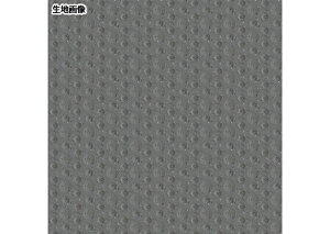 hV[g OΉ JL oRj[ BKV[g 2.5mm 182cm V[g XܗpV[g VR[ SBK9815