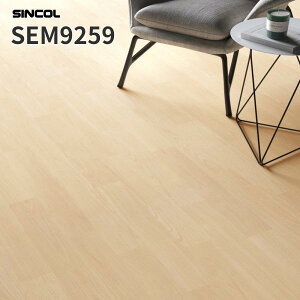 ڃV[g x[VbNȖؖڒ V[g 2.0mm 182cm V[g XܗpV[g VR[ SEM9259