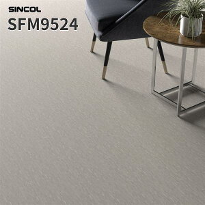 ڃV[g }[u^Cv 2.0mm 182cm V[g XܗpV[g VR[ SFM9524