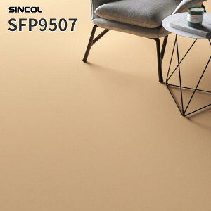 ڃV[g v[J[ 2.0mm 182cm V[g XܗpV[g VR[ SFP9507