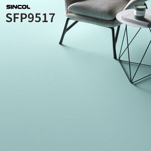 ڃV[g v[J[ 2.0mm 182cm V[g XܗpV[g VR[ SFP9517