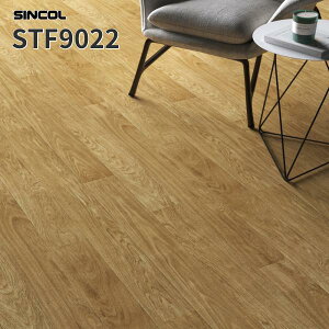 ڃV[g 2.0mmArjV[g 182cm V[g XܗpV[g VR[ STF9022