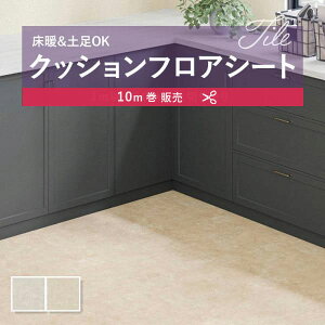 y182cm×10mz  ȒPݒuNbVV[g NbVtA R VR[ 2.3mm 182cm TJN[g O[ ^C 