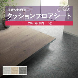 y182cm×20mz  ȒPݒuNbVV[g NbVtA R VR[ 2.3mm 182cm t[^C 