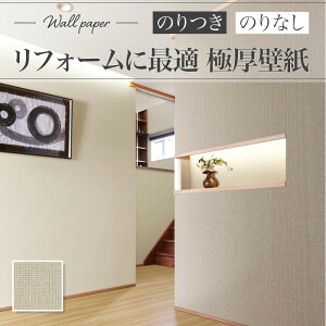 RJ4878 tH[ǎ a a a ̂Ȃ VR[ NX tH[