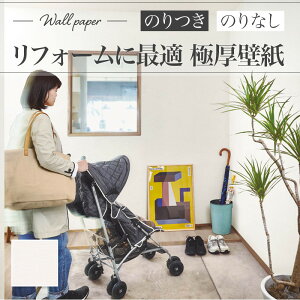 RJ4883 tH[ǎ Vɂ ̂Ȃ VR[ NX tH[