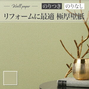 RJ4877 tH[ǎ a a a ̂Ȃ VR[ NX tH[