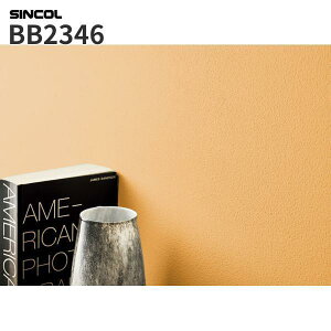 BB2346 �ǎ� �Ζڒ� �I�����W�n ���n ���G�} ���L �R�� �h���� �̂�Ȃ� �V���R�[�� �N���X �x�X�g BEST