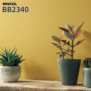 �y�����SALE�zBB2340 �ǎ� �D���� �C�G���[�n ���F�n �i�`������ ��l�J���[ �̂�Ȃ� �V���R�[�� �N���X �x�X�g BEST