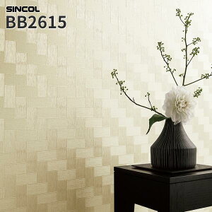 ySALEzBB2615 ǎ a a Ώԑ㒲 G{X p[ ̂Ȃ VR[ NX xXg BEST