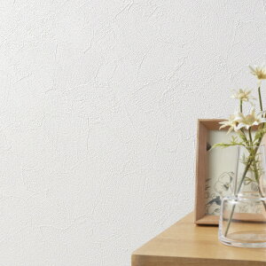 SLP310 yňlɒ풆z ǎ  diy C \ p ȒP  tH[   V D ̂Ȃ VR[ ʎYNX SLvX