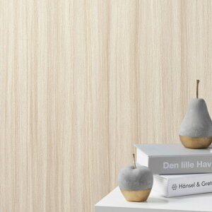 SLP378 yňlɒ풆z ǎ  diy C \ p ȒP  tH[   V D ̂Ȃ VR[ ʎYNX SLvX