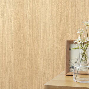 SLP379 yňlɒ풆z ǎ  diy C \ p ȒP  tH[   V D ̂Ȃ VR[ ʎYNX SLvX