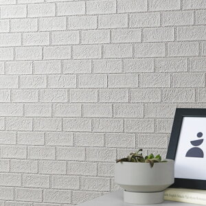 SLP391 yňlɒ풆z ǎ  diy C \ p ȒP  tH[   V D ̂Ȃ VR[ ʎYNX SLvX