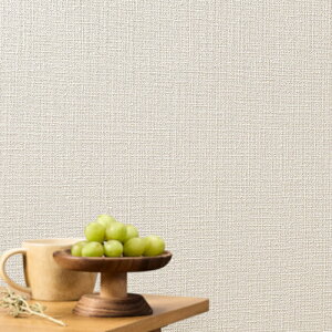 SLP353 yňlɒ풆z ǎ  diy C \ p ȒP  tH[   V D ̂Ȃ VR[ ʎYNX SLvX