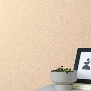 SLP366 yňlɒ풆z ǎ  diy C \ p ȒP  tH[   V D ̂Ȃ VR[ ʎYNX SLvX