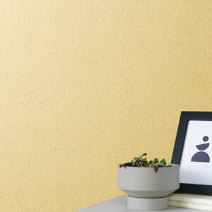 SLP369 yňlɒ풆z ǎ  diy C \ p ȒP  tH[   V D ̂Ȃ VR[ ʎYNX SLvX