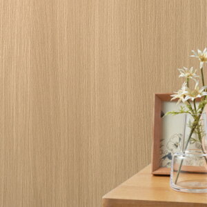 SLP381 yňlɒ풆z ǎ  diy C \ p ȒP  tH[   V D ̂Ȃ VR[ ʎYNX SLvX