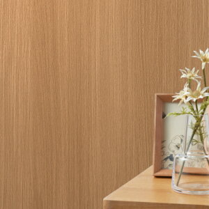 SLP382 yňlɒ풆z ǎ  diy C \ p ȒP  tH[   V D ̂Ȃ VR[ ʎYNX SLvX