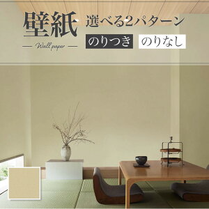 ySALEzSLP-404 ǎ 炭 a a ̂Ȃ VR[ NX