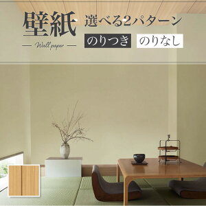 SLP-405 ǎ ؖڒ  V a a ̂Ȃ VR[ NX