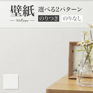 SLP-393 ǎ h蒲 XNGAp^[ zCgn n ̂Ȃ VR[ NX