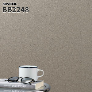 BB2248 ǎ Ζڒ  O[n ㎿ ̂Ȃ VR[ NX xXg BEST