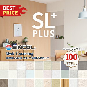 yňlɒ풆z ̂Ȃǎ VR[ SLPLUS 2023-2025 D Ζڒ p^[ a sR^Cv